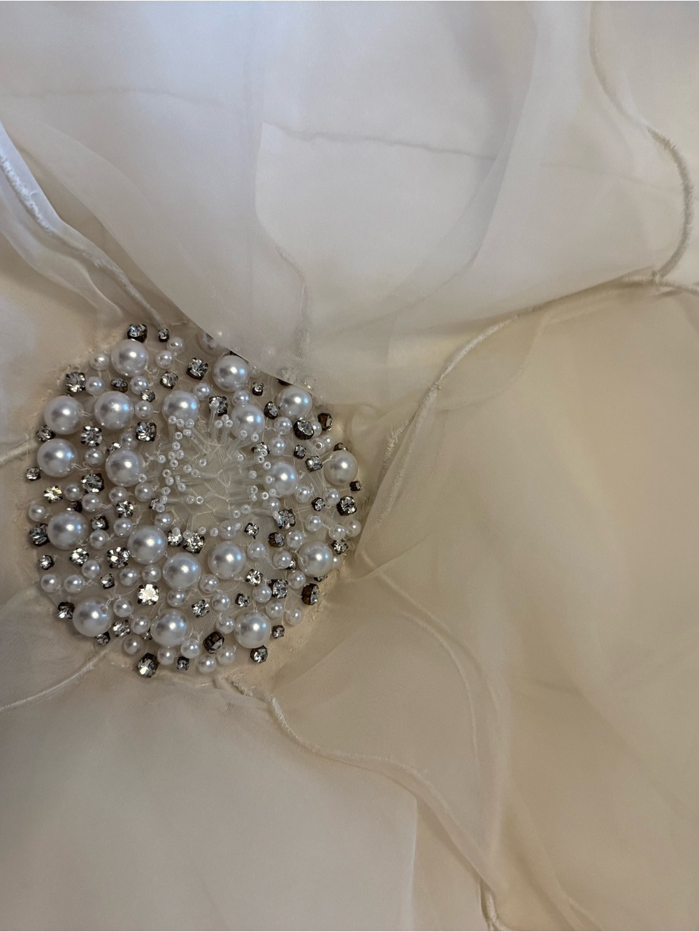 NWT BHLDN organza 3D floral appliqué strapless midi dress - Picture 6 of 6